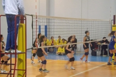 GISSI-U14-117