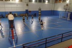 foto-tappa-minivolley-040