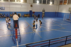 foto-tappa-minivolley-041