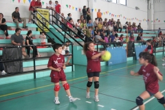 Tappa-minivolley-maggioi-09-105