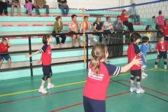 Tappa-minivolley-maggioi-09-108