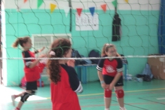 Tappa-minivolley-maggioi-09-113