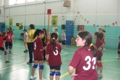 Tappa-minivolley-maggioi-09-120