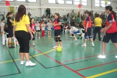 Tappa-minivolley-maggioi-09-123