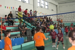 Tappa-minivolley-maggioi-09-125