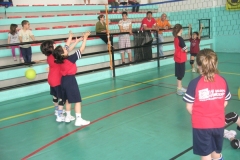 Tappa-minivolley-maggioi-09-129