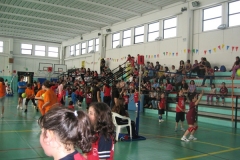 Tappa-minivolley-maggioi-09-132