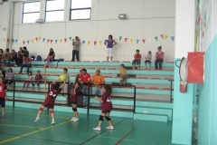 Tappa-minivolley-maggioi-09-133