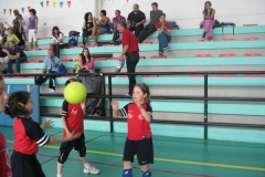 Tappa-minivolley-maggioi-09-149