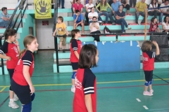 Tappa-minivolley-maggioi-09-56