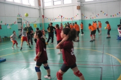 Tappa-minivolley-maggioi-09-81