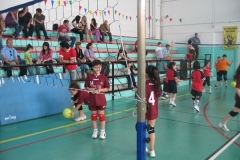 Tappa-minivolley-maggioi-09-84