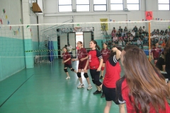 Tappa-minivolley-maggioi-09-90