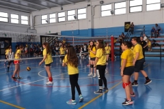 FESTA-DELLA-PALLAVOLO-2017-181