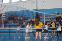 FESTA-DELLA-PALLAVOLO-2017-70