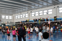 Tappa-minivolley-2016-141