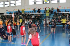 Tappa-minivolley-2016-146