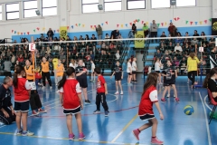 Tappa-minivolley-2016-147