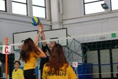 Tappa-minivolley-2016-15