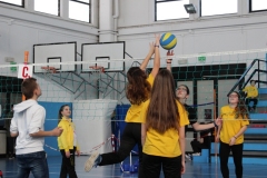 Tappa-minivolley-2016-16