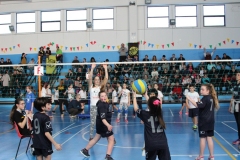 Tappa-minivolley-2016-225