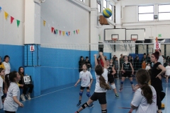 Tappa-minivolley-2016-231