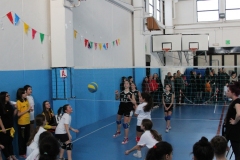 Tappa-minivolley-2016-235