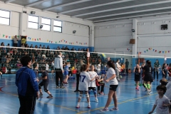 Tappa-minivolley-2016-239