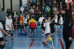 Tappa-minivolley-2016-247