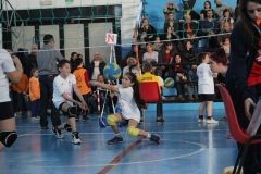 Tappa-minivolley-2016-249