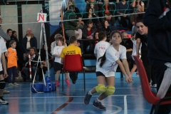 Tappa-minivolley-2016-251