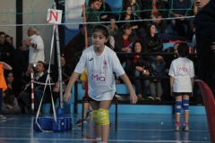 Tappa-minivolley-2016-252