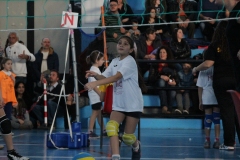 Tappa-minivolley-2016-253