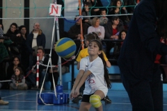 Tappa-minivolley-2016-254