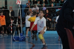 Tappa-minivolley-2016-255