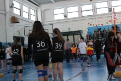 Tappa-minivolley-2016-256