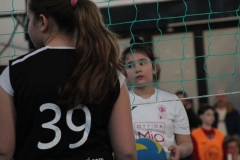 Tappa-minivolley-2016-257