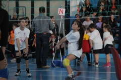 Tappa-minivolley-2016-261