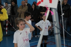 Tappa-minivolley-2016-265