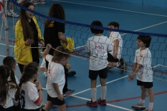 Tappa-minivolley-2016-297