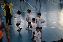 Tappa-minivolley-2016-302