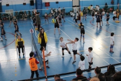 Tappa-minivolley-2016-306