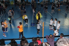 Tappa-minivolley-2016-314