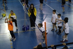 Tappa-minivolley-2016-318