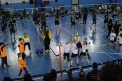 Tappa-minivolley-2016-319