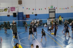 Tappa-minivolley-2016-329