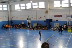 Tappa-minivolley-2016-401