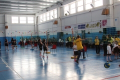 Tappa-minivolley-2016-47