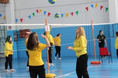 Tappa-minivolley-2016-5