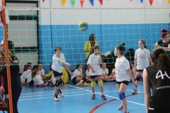 Tappa-minivolley-2016-98